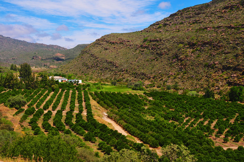 South Africa